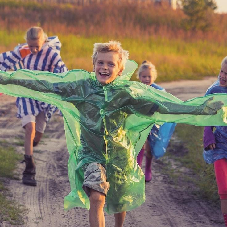 Amina Rao, Lead Design Curator at Peaceful Harbor Community, reviewing corporate floral arrangements
